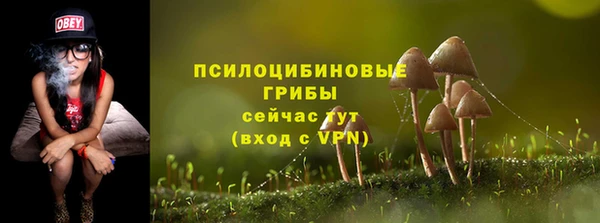 mix Костерёво