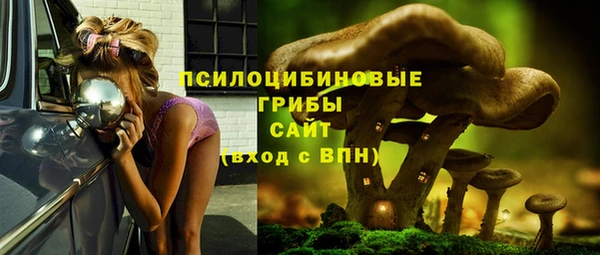 mix Костерёво
