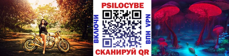 Галлюциногенные грибы Psilocybe  Купить  Тверь 